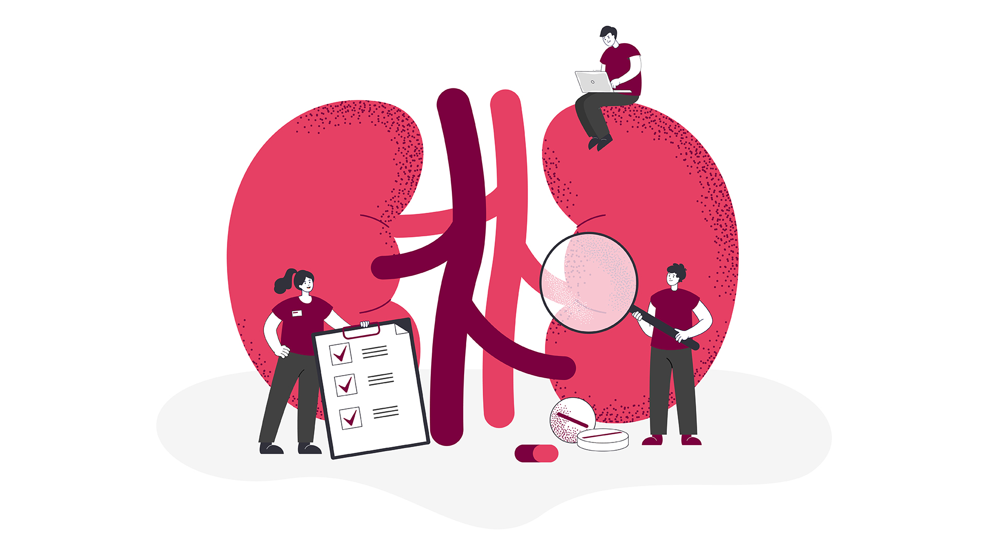 Doctors check health of kidneys and urinary system in clinic. Medical study of tiny people with chronic kidney diseases and physiology flat vector illustration. Urology, nephrology, dialysis concept