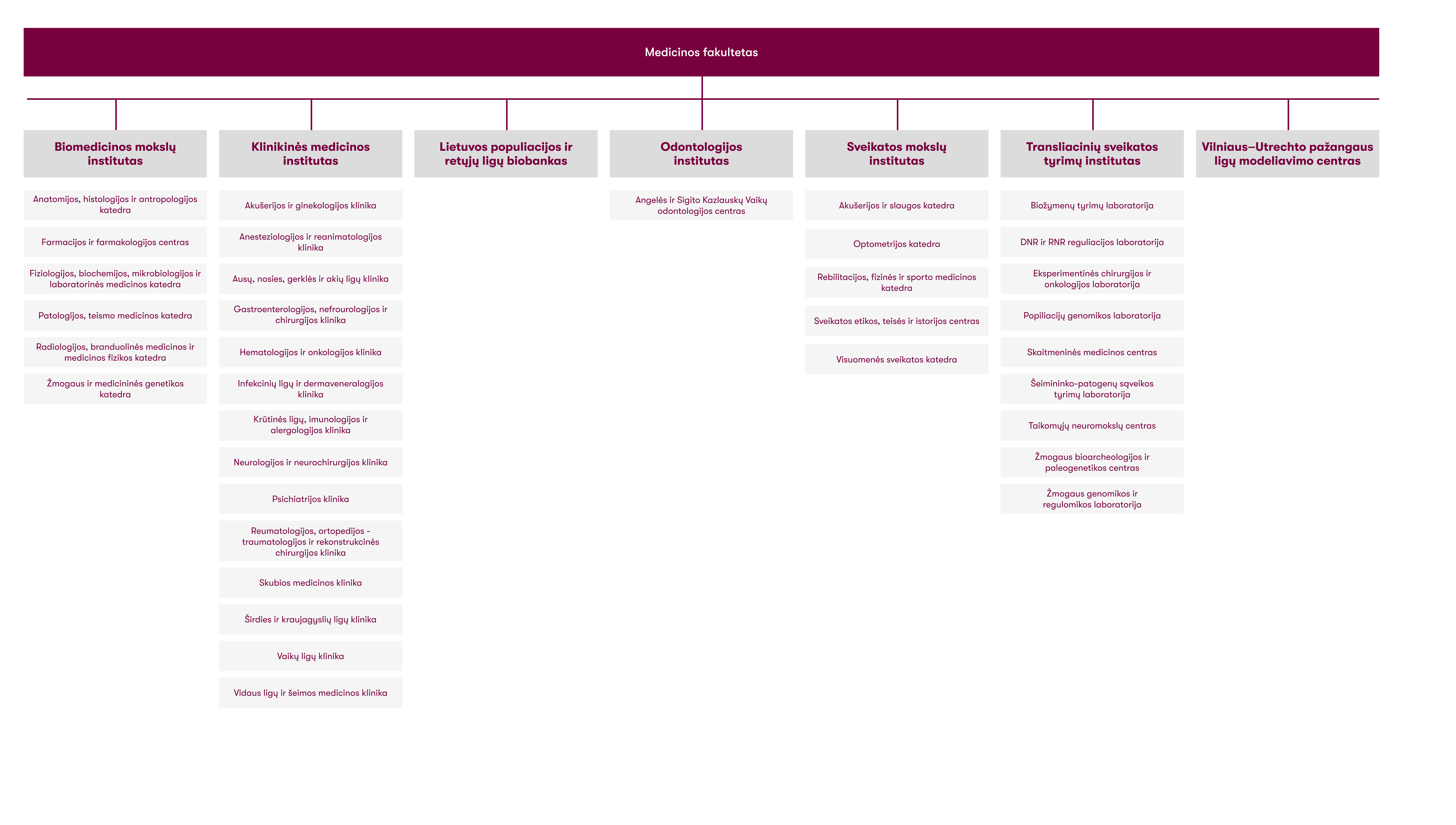 MF struktura akademiniai padaliniai 2026