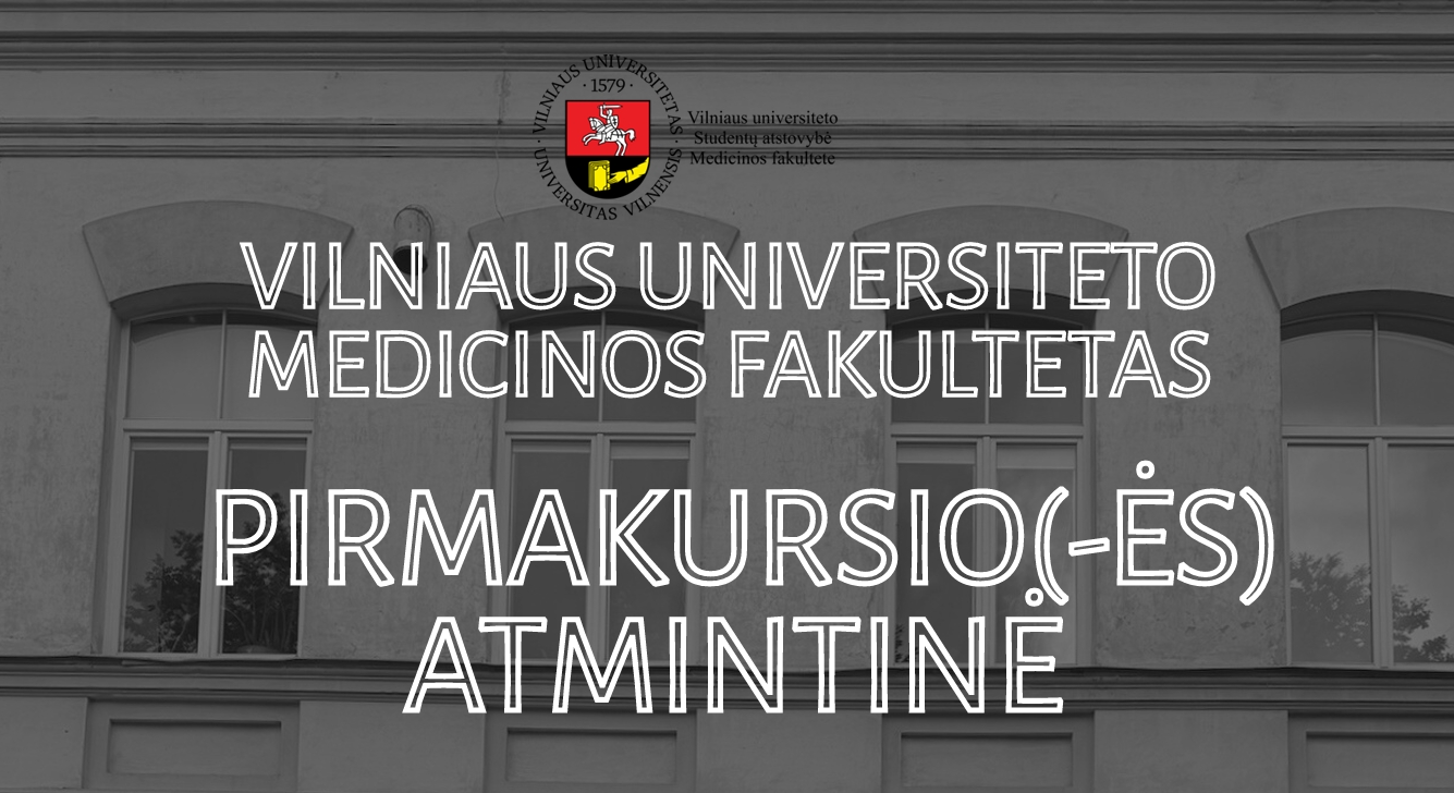 Screenshot 20 8 2025 141812 www.mf.vu.lt