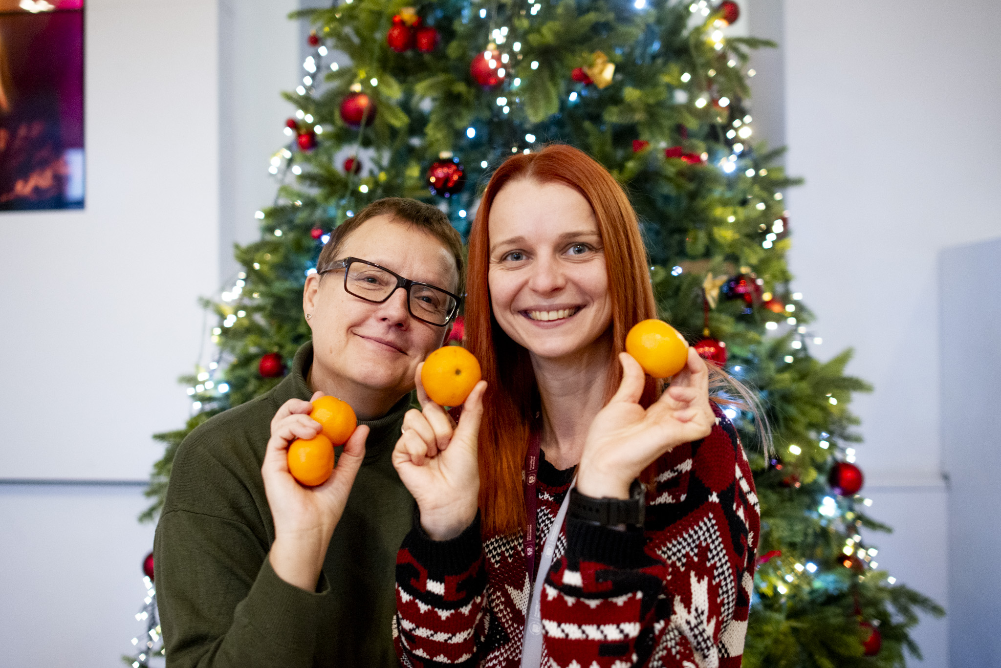 eglutes iziebimas MF 20241104 MF 027