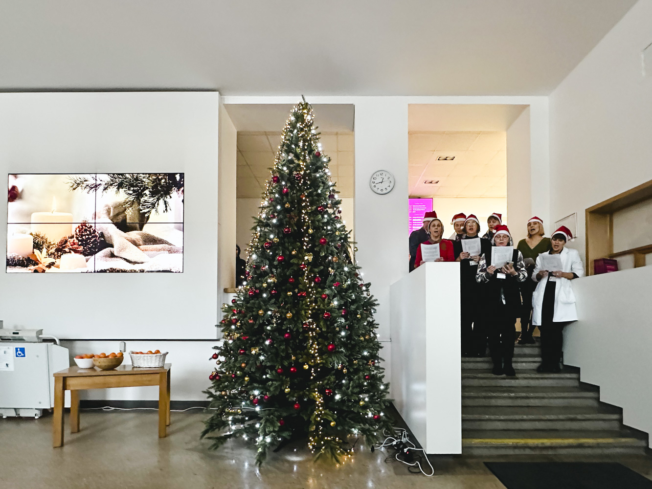 iziebiziebta vu mf eglute 01