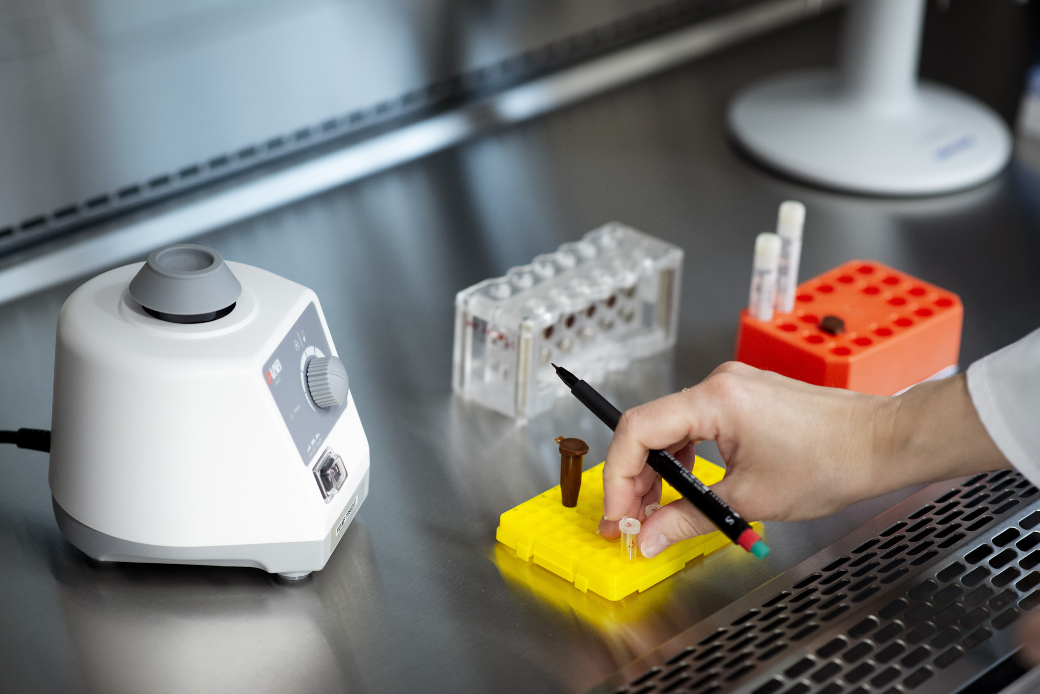 medicinos genetika ingrida domarkiene 007