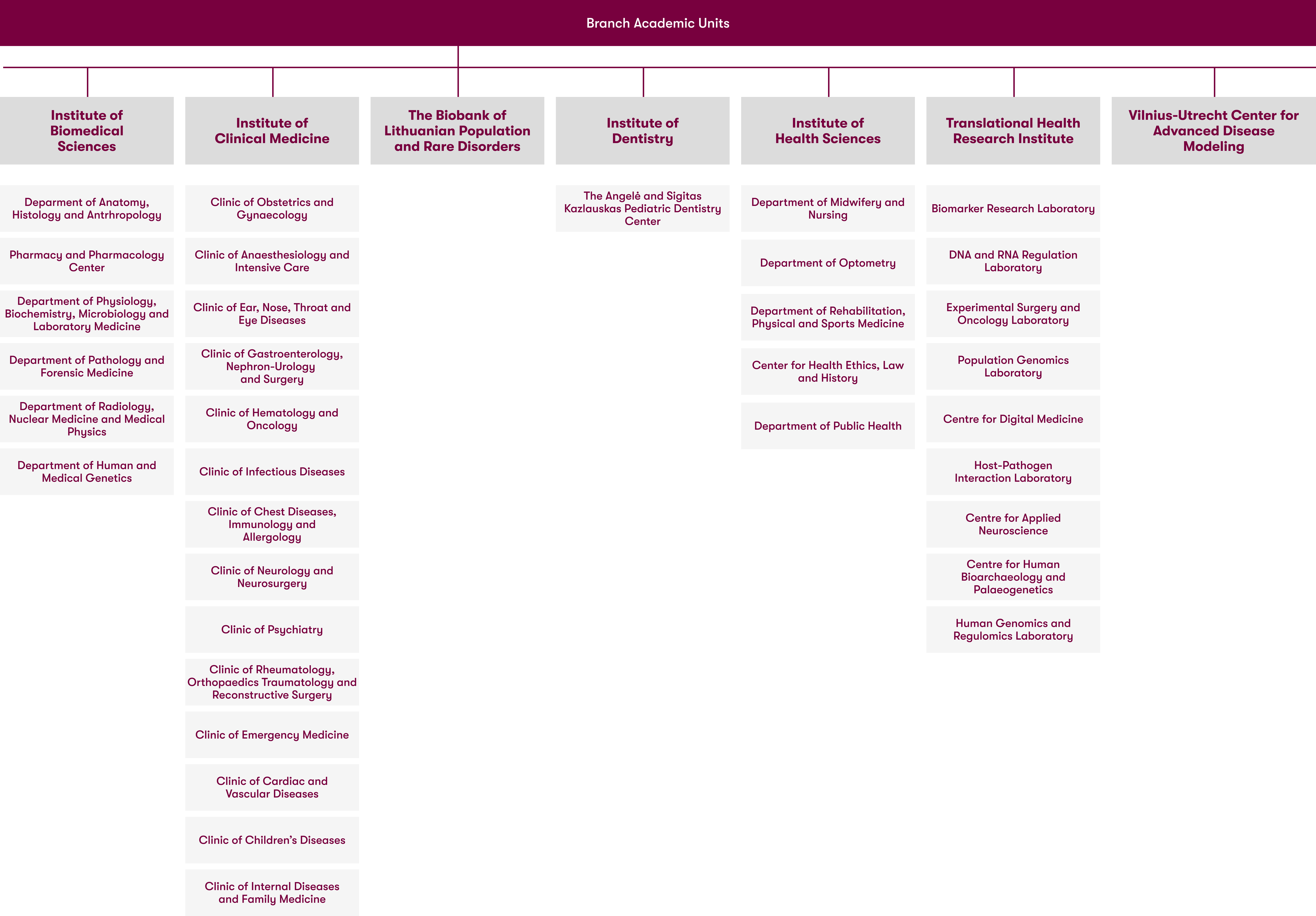strukturos schema EN akademiniai 2026