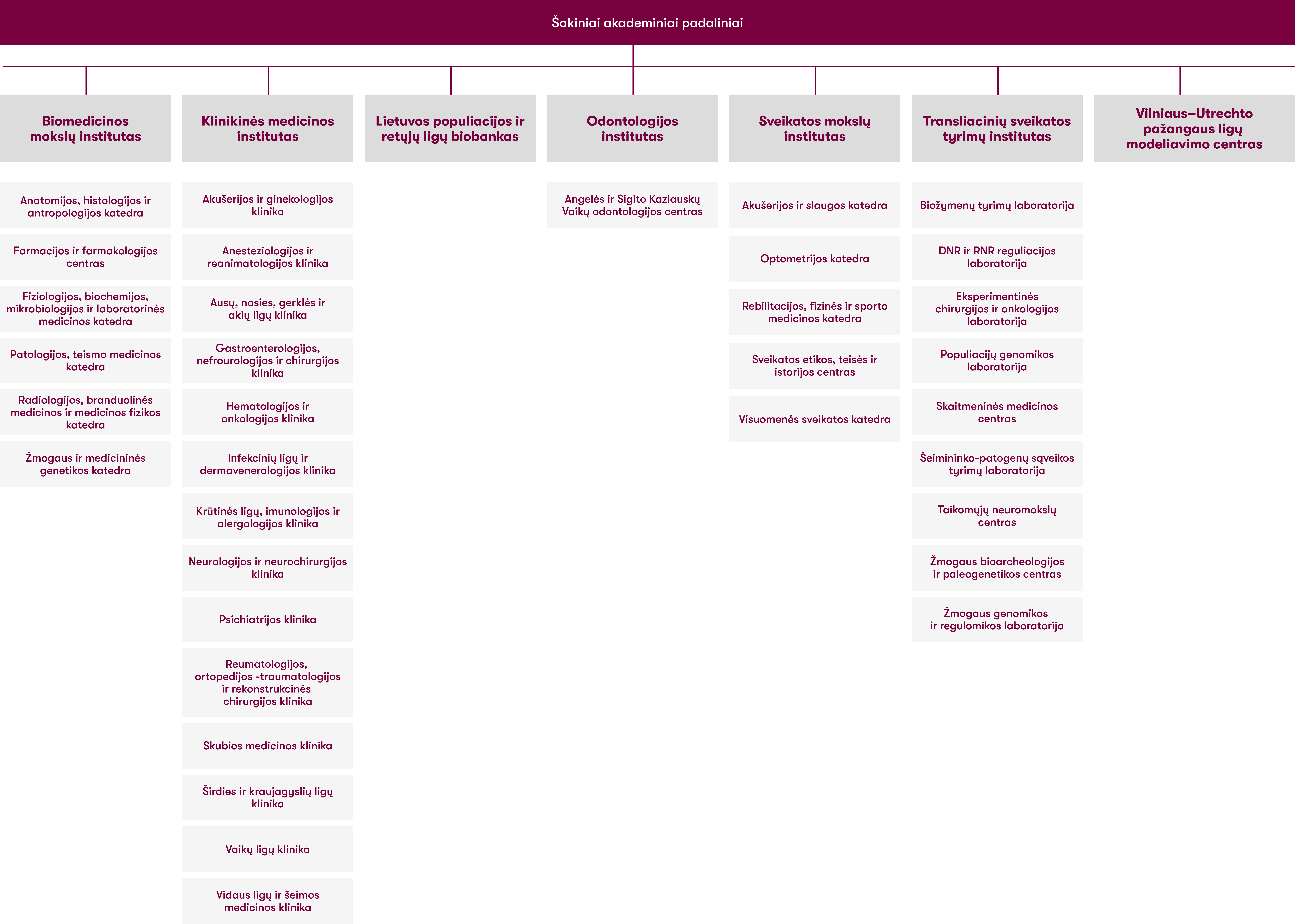 strukturos schema LT akademiniai 2026