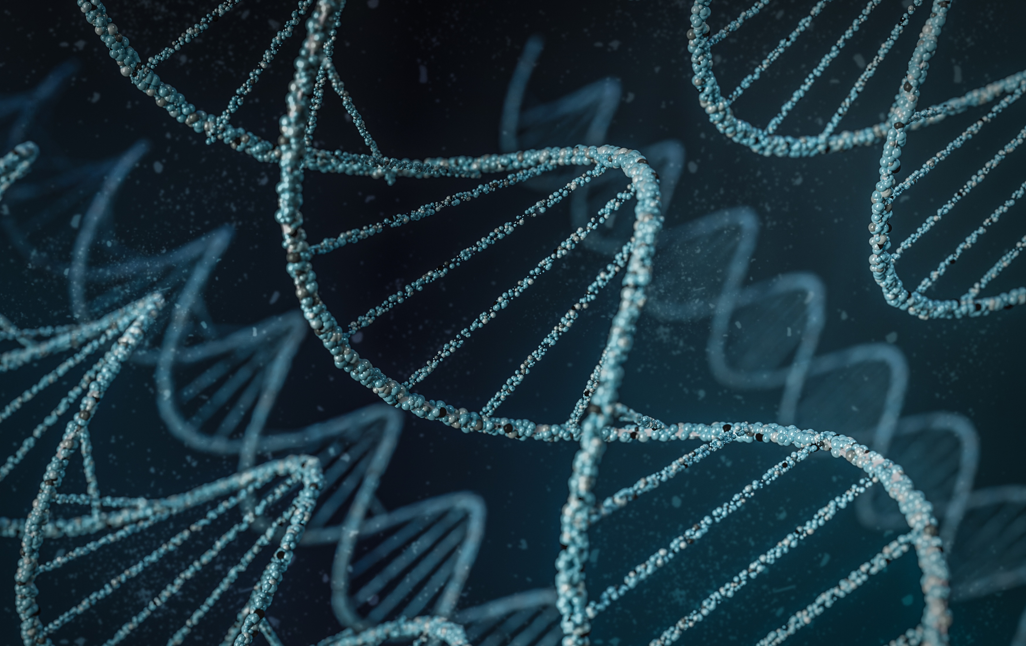 w3d-representation-dna.jpg